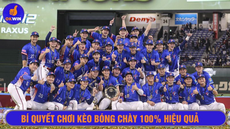 Thường xuyên đọc tin tức về đội bóng chày