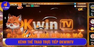 Kênh thể thao trực tiếp Okwintv