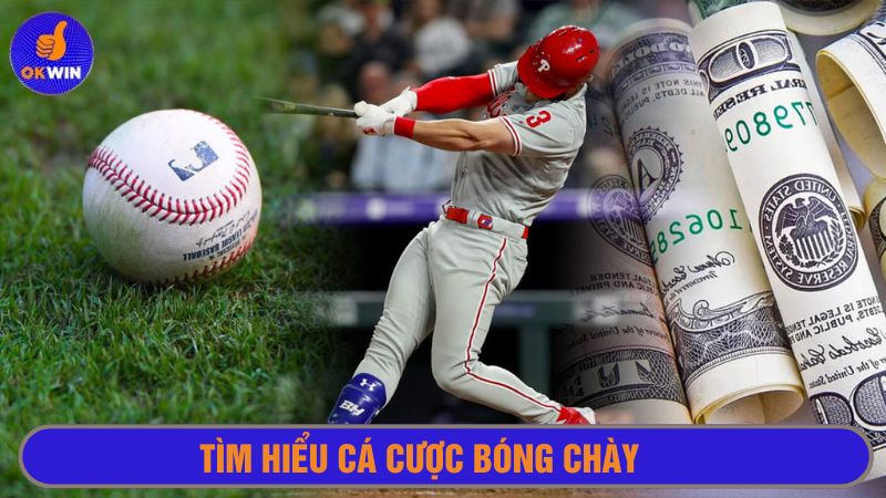 Cá cược bóng chày đem tới người chơi trải nghiệm mới mẻ 