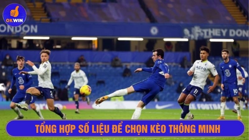 Tổng hợp số liệu từ các trang cá cược uy tín để chọn kèo