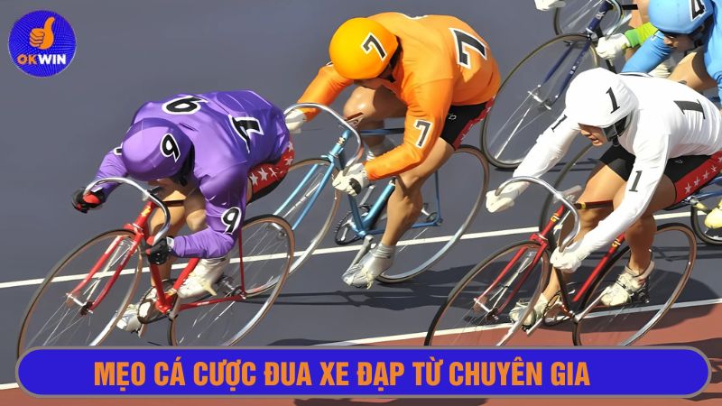 Theo dõi tình hình đua xe đạp