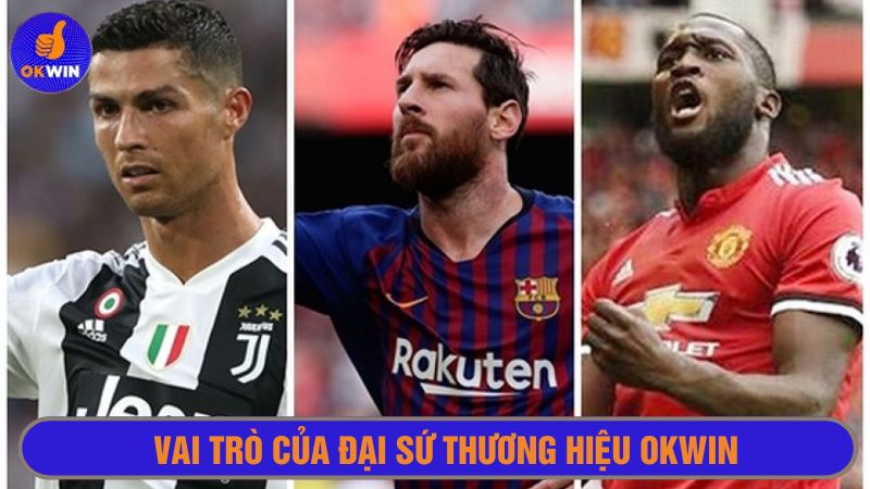 Đại sứ thương hiệu Okwin giúp quảng bá hình ảnh 